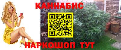спайс Гусь-Хрустальный