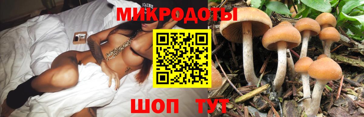 Галлюциногенные грибы GOLDEN TEACHER  Галлюциногенные грибы GOLDEN TEACHER  Вход с VPN  Тейково 